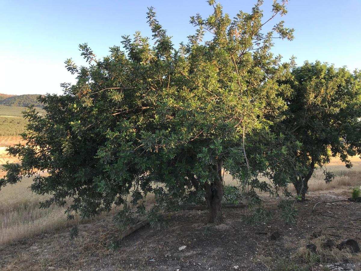Willa Cortijo Vista Alegre Fuente de Piedra Zewnętrze zdjęcie